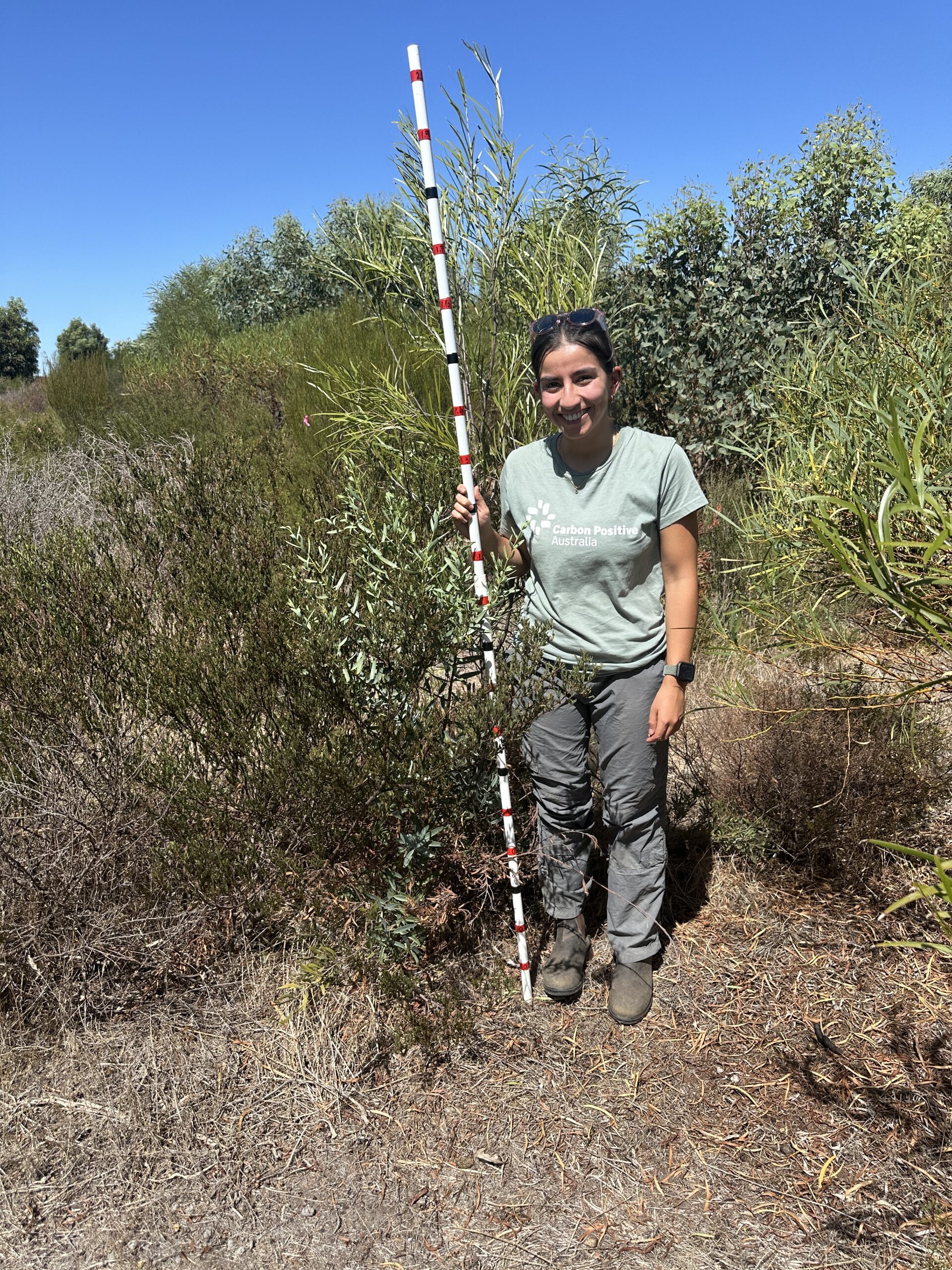 Woman holding monitoring stick and standing next to vegetation growth