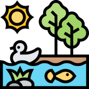 Biodiversity-ecosystem-restoration