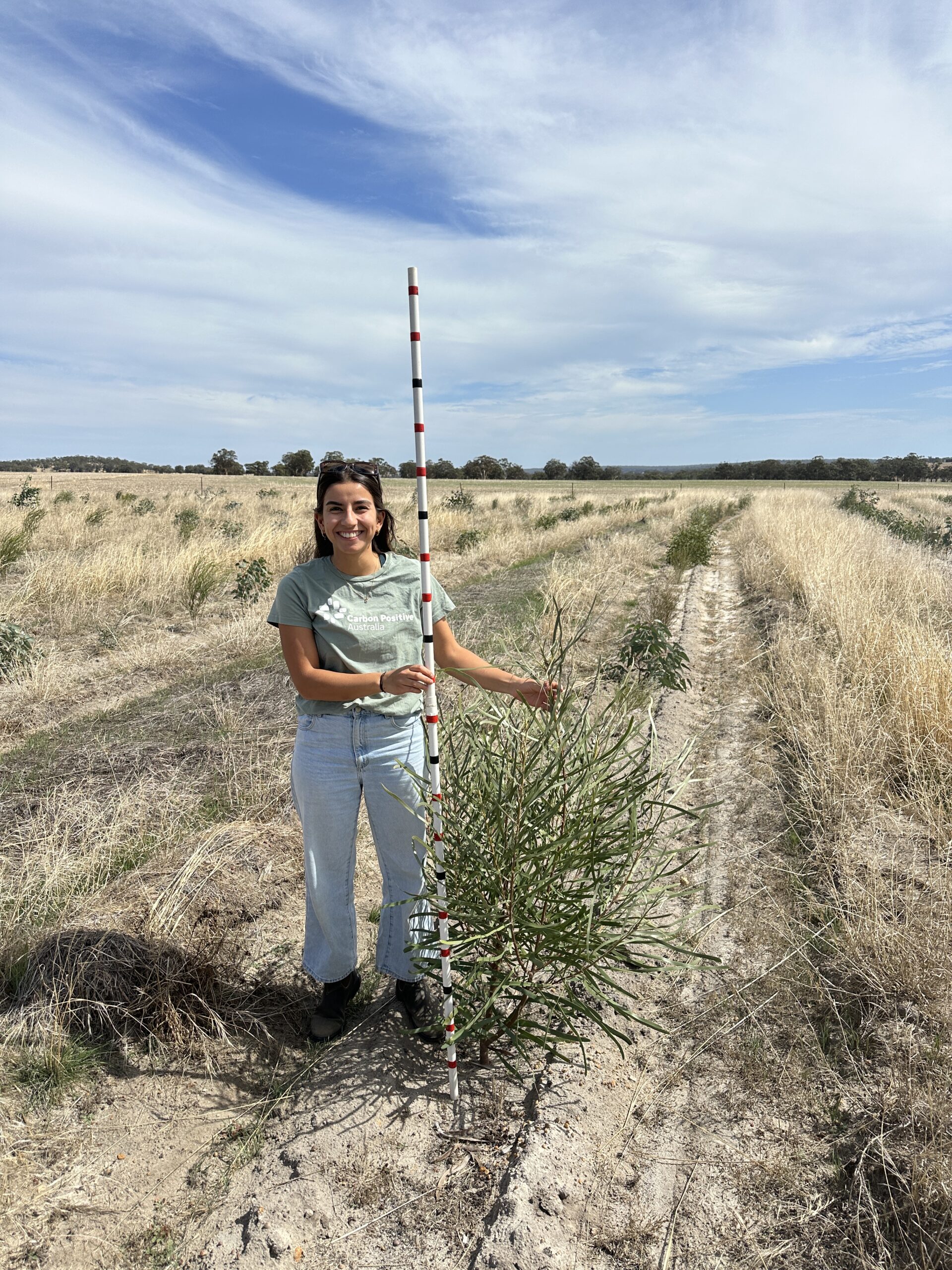 Woman holding a measuring stick and standing next to tall shrub.