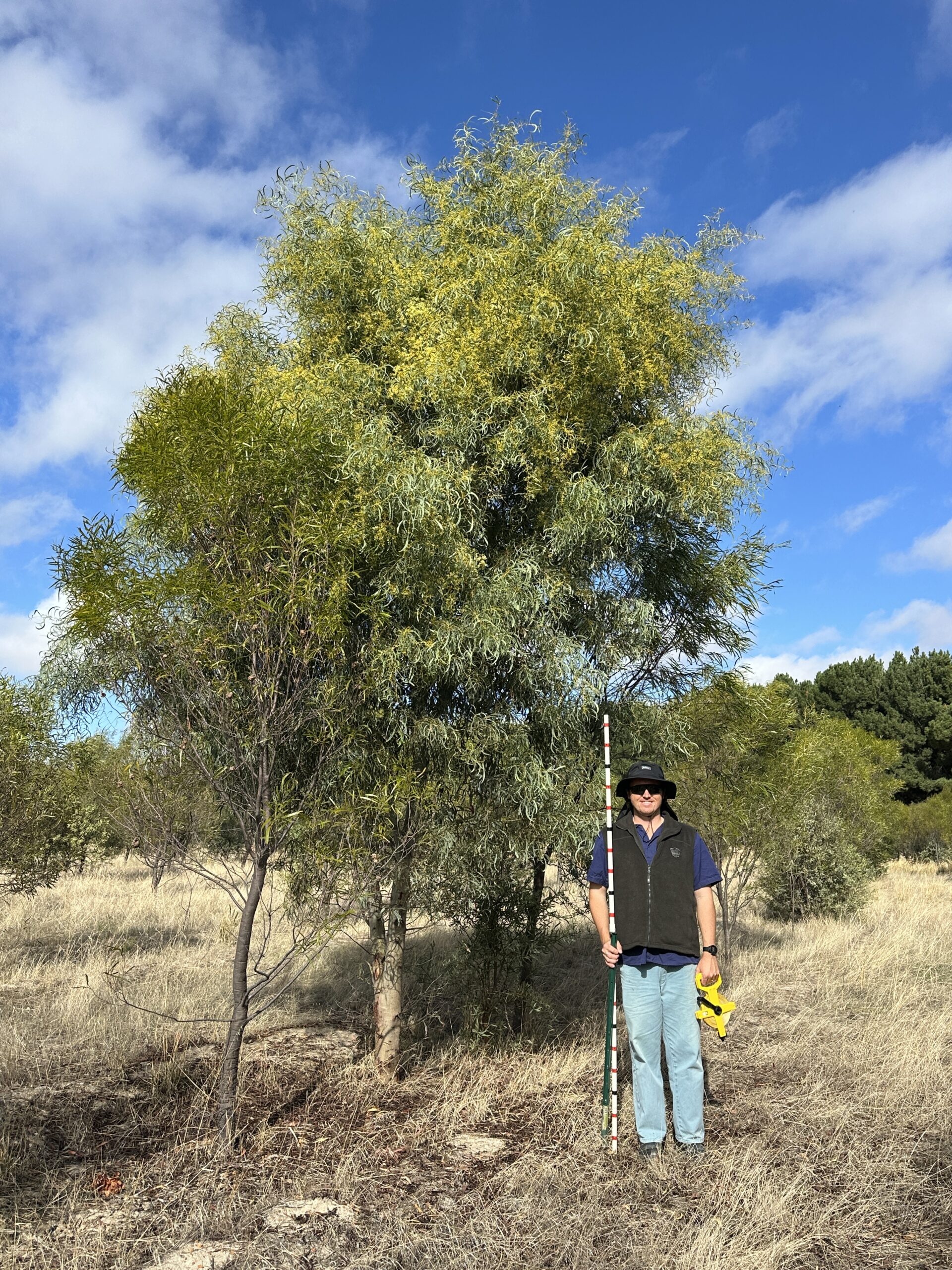 Man standing next to a very tall tree.