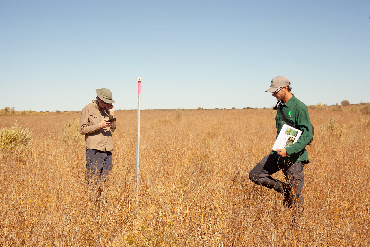 Two people within monitoring plot with plot marker.