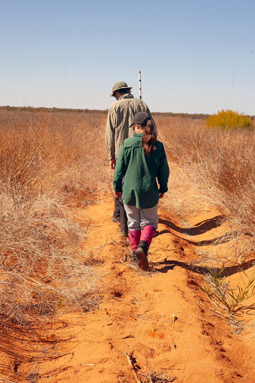 Two people walking alongside a planting row.