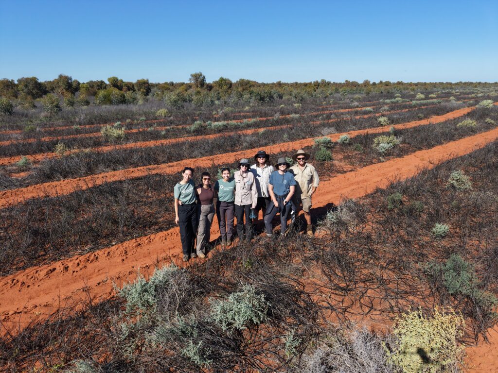 2507_207 Eurardy Drone Photos (22) The planting team standing in front of the planting rows.