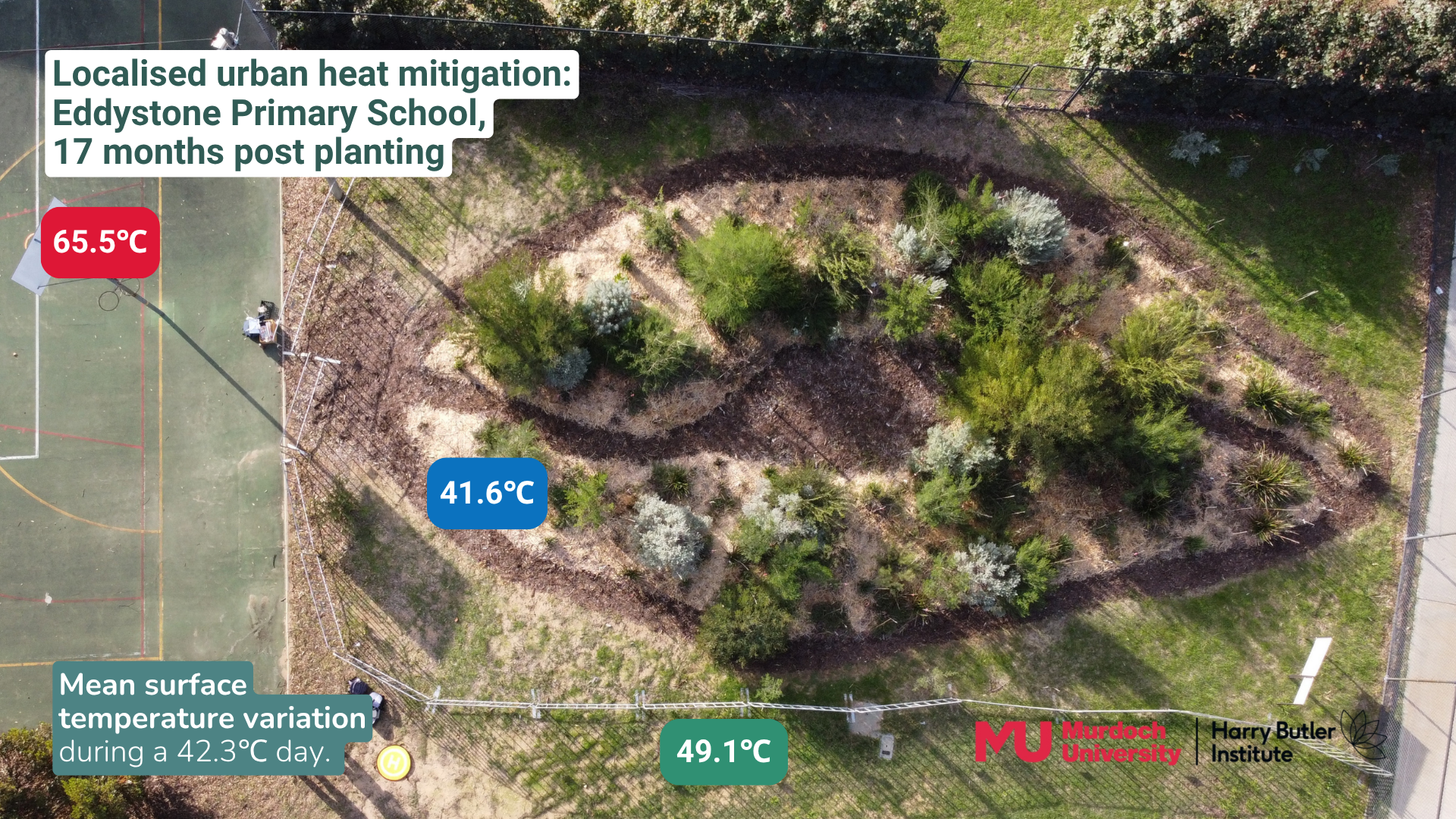 Miyawaki-Harry-Butler-Community-Pocket-Forest Urban heat reforestation project