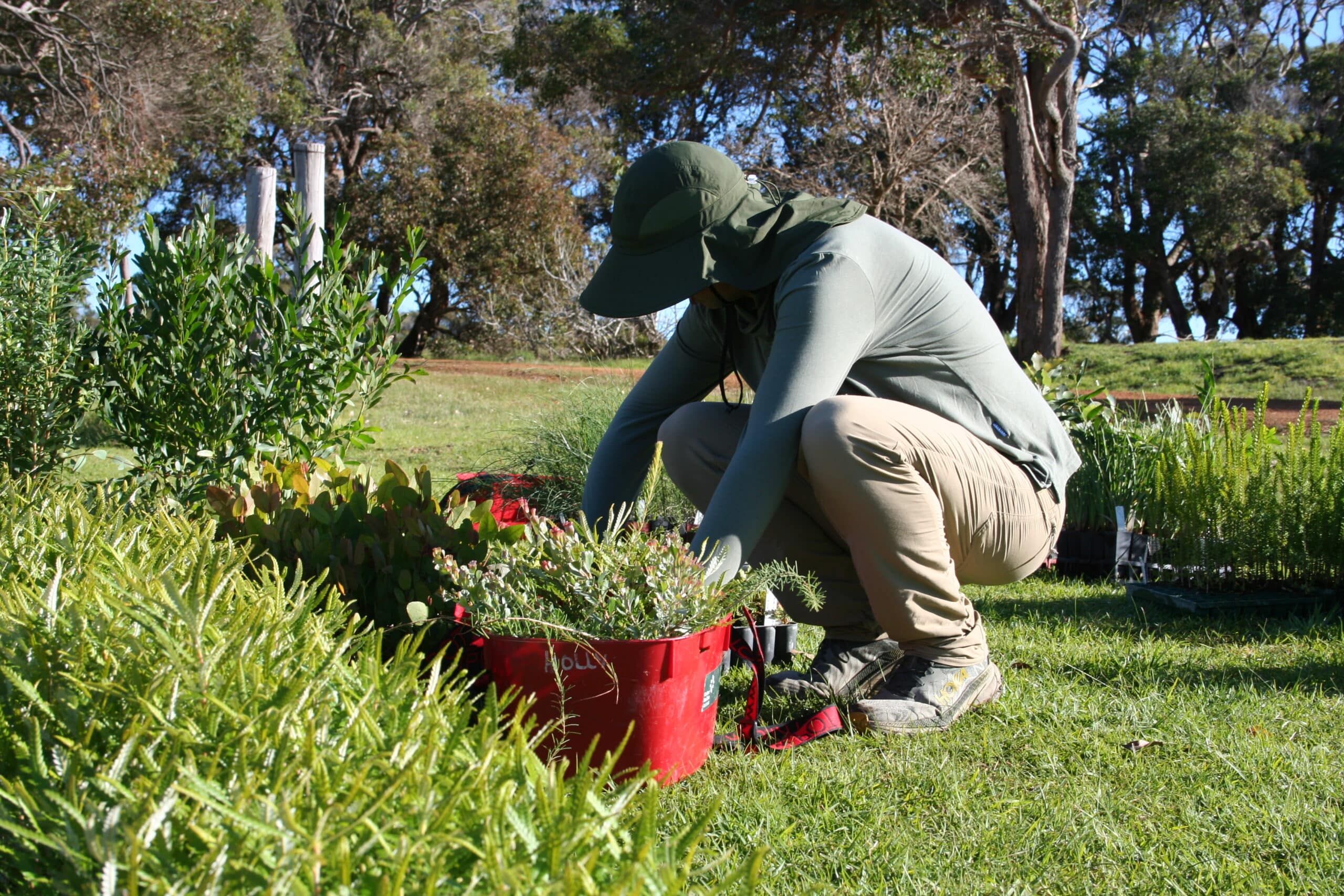 Man squatting next to seedling trays filling a seedling bucket.
