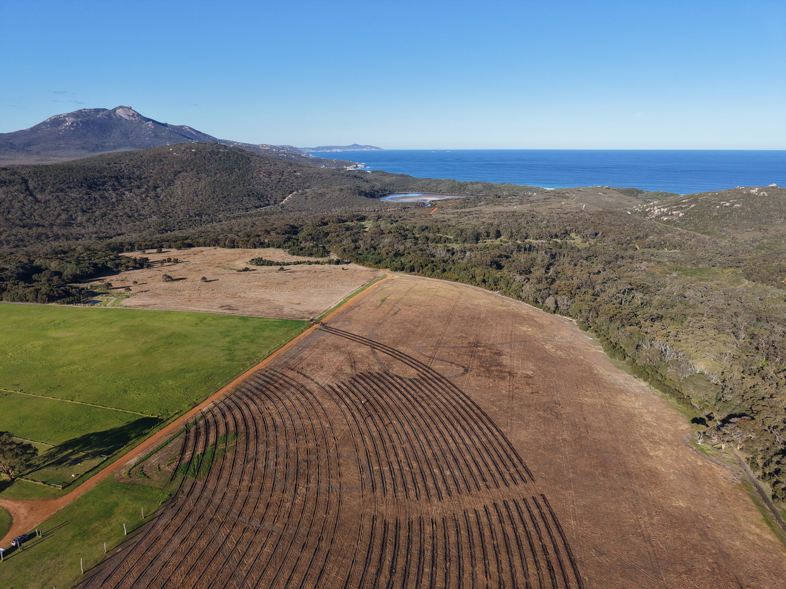 Aerial view of planting rows with mountain, beach, and remnant bushland in background.