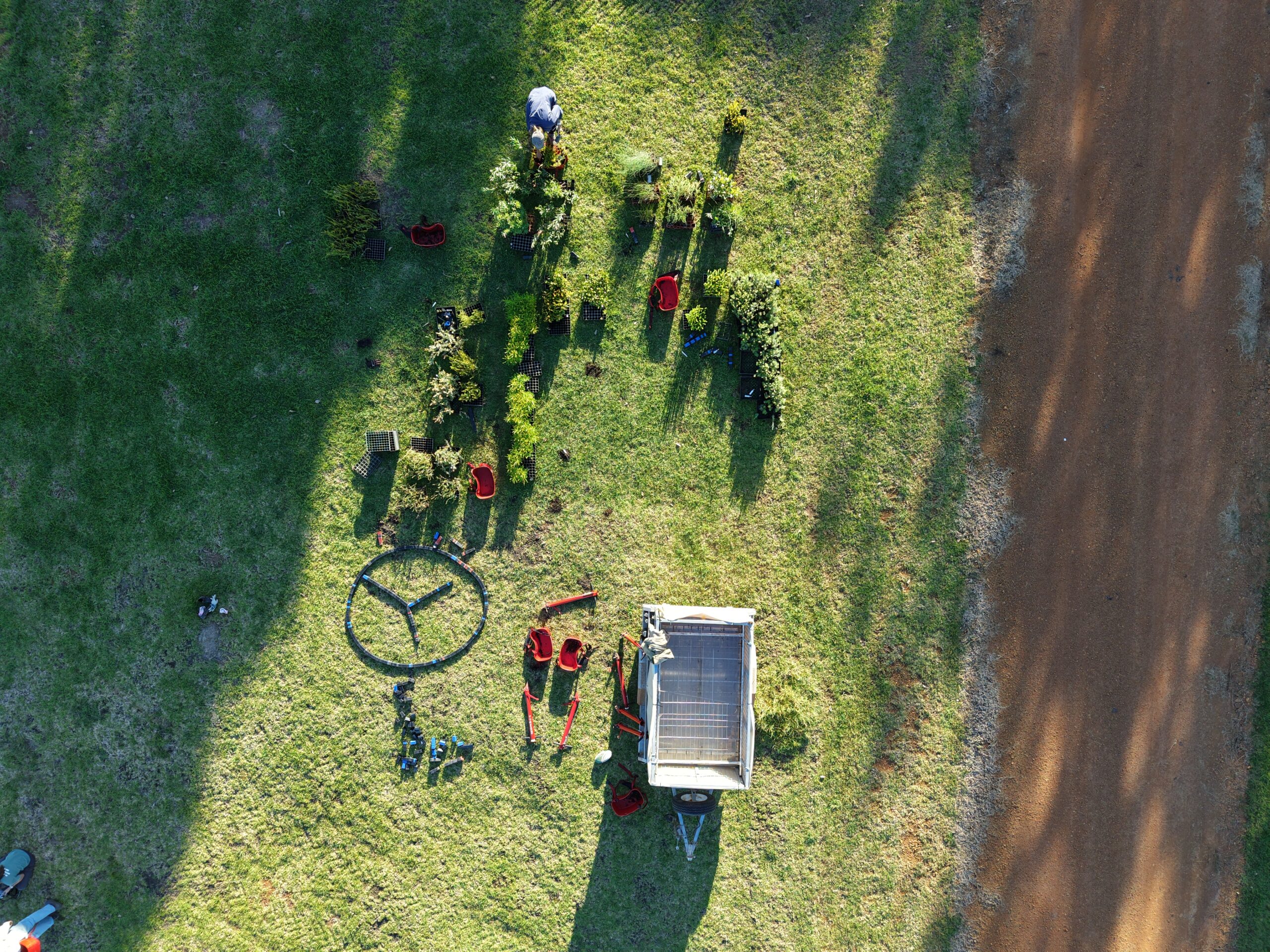 Drone image of seedlings and planting equipment.
