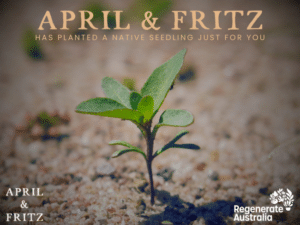 April & Fritz eCard