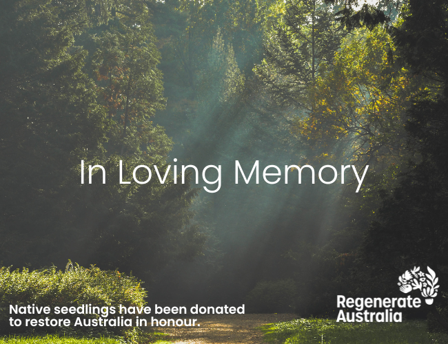 in loving memory ecard