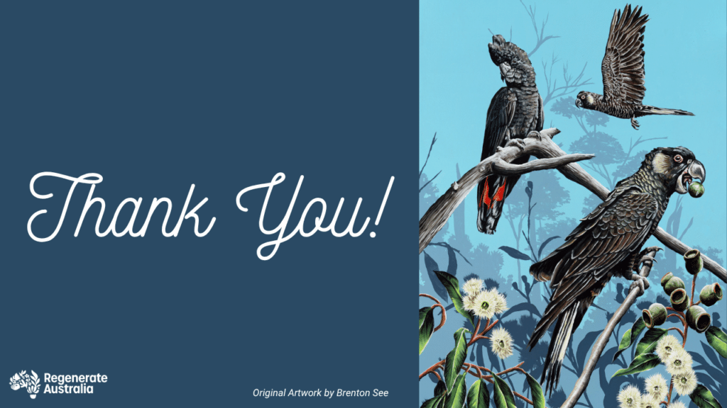 Brenton See eCard Thanks