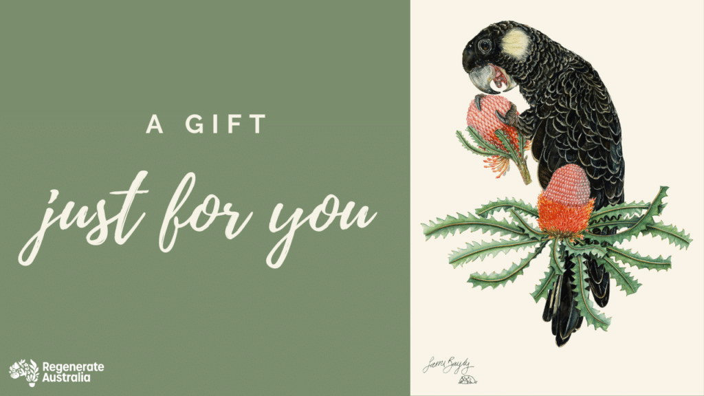 Sami Bayly eCard for you