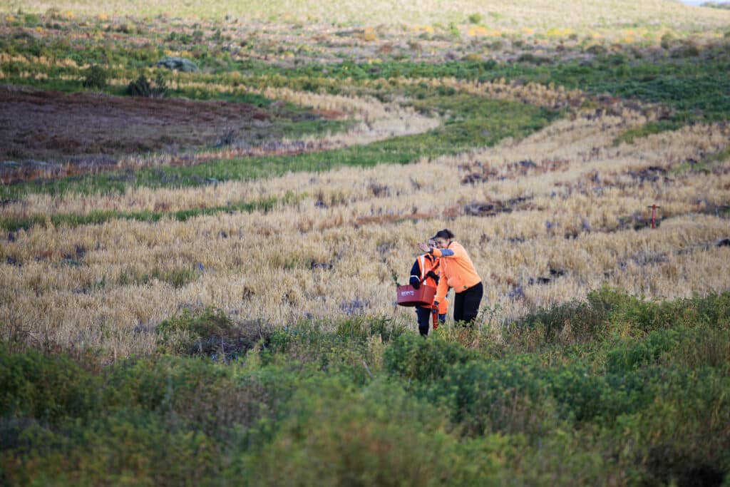 Raukkan_Rangers_planting_trees_restoration Raukkan Rangers among the July 2026 planting