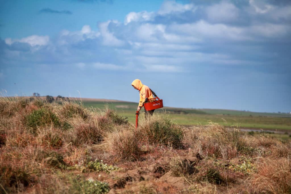 Raukkan_ranger_on_site_planting_native_trees